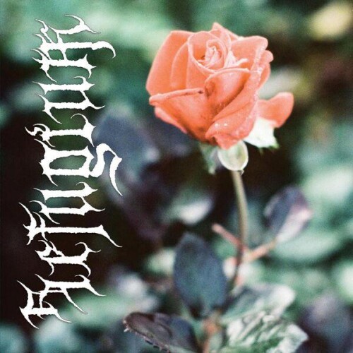 Refugium-In_Hope_of_Eternal_Life-24BIT-WEB-FLAC-2026-ENTiTLED.jpg