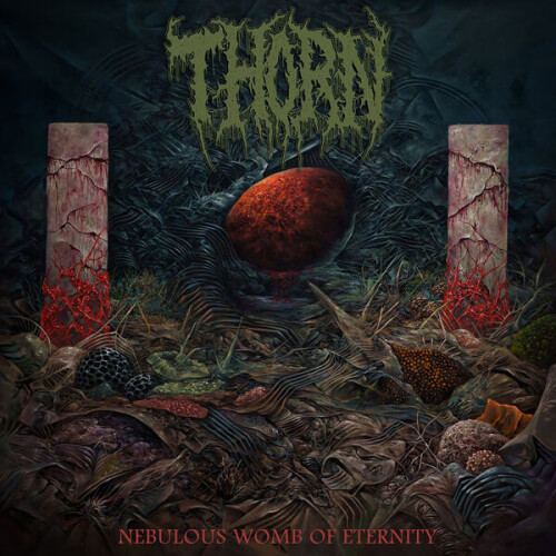 Thorn-Nebulous_Womb_Of_Eternity-24BIT-WEB-FLAC-2025-VEXED.jpg