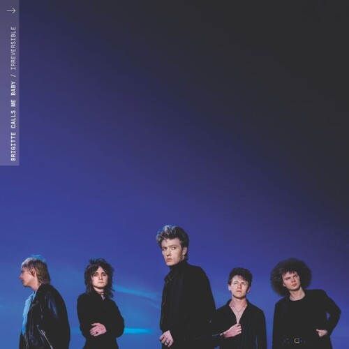 Brigitte_Calls_Me_Baby-Irreversible-24BIT-96KHZ-WEB-FLAC-2026-OBZEN.jpg