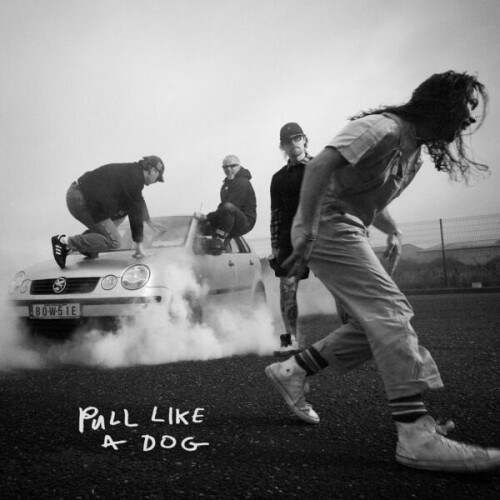 The_Scratch-Pull_Like_A_Dog-24BIT-88KHZ-WEB-FLAC-2026-OBZEN.jpg