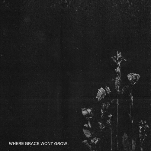 The_Good_Depression-Where_Grace_Wont_Grow-EP-24BIT-WEB-FLAC-2026-ENRiCH.jpg