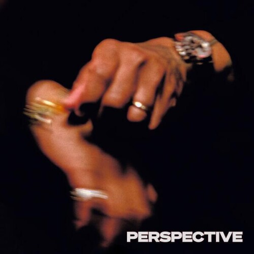Terrace_Martin-PERSPECTIVE-24BIT-WEB-FLAC-2026-ENRiCH.jpg