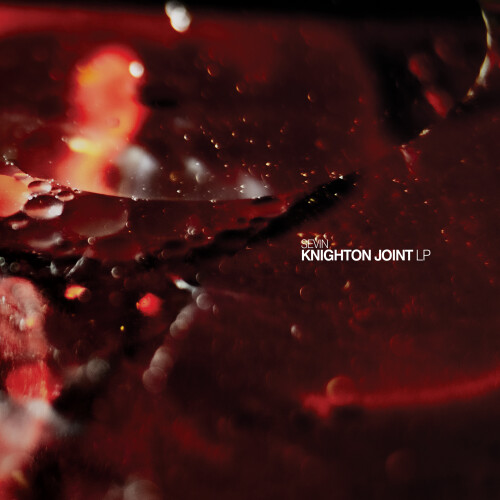 Sevin-Knighton_Joint_LP-FOKUZ405V-24BIT-WEB-FLAC-2026-PTC.jpg