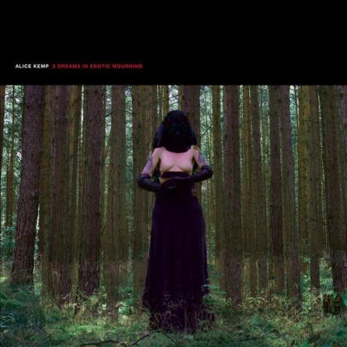 Alice_Kemp-9_Dreams_In_Erotic_Mourning-HMS050E-24BIT-WEB-FLAC-2026-ENRiCH.jpg