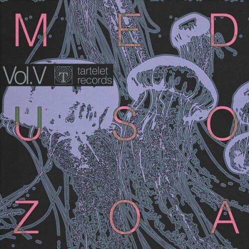 VA-Medusozoa_Vol._V-TARTALB027D-24BIT-WEB-FLAC-2026-ENRiCH.jpg