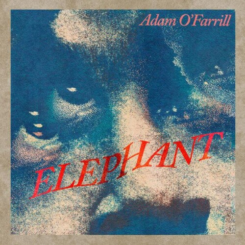Adam_OFarrill-ELEPHANT-24BIT-WEB-FLAC-2026-ENRiCH.jpg