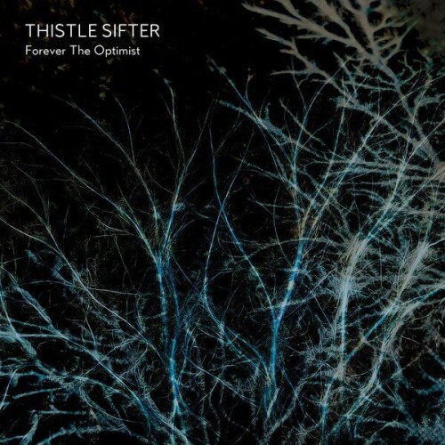 Thistle_Sifter-Forever_The_Optimist-24BIT-WEB-FLAC-2026-ENViED.jpg