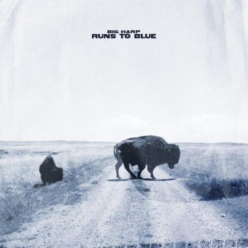 Big_Harp-Runs_to_Blue-24BIT-WEB-FLAC-2026-ENRiCH.jpg