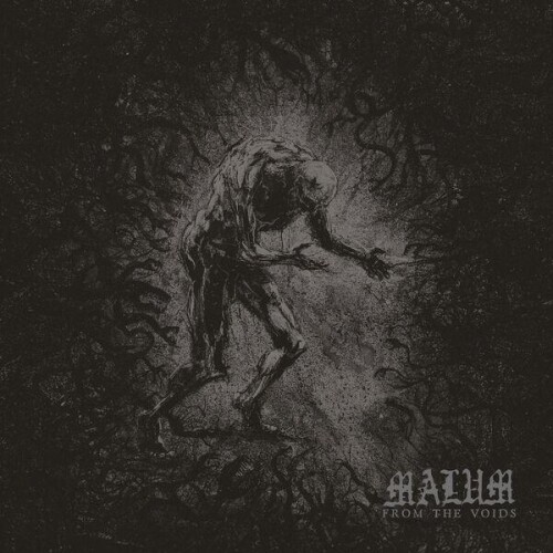 MALUM-From_The_Voids-24BIT-WEB-FLAC-2026-ENTiTLED.jpg