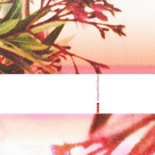 TEED-Always_With_A_Remix-24BIT-WEB-FLAC-2026-ENRiCH.jpg