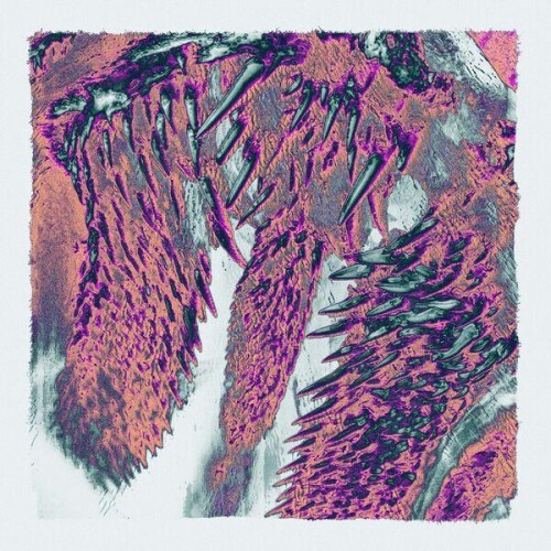 Throwing_Snow-Canines-EP-24BIT-WEB-FLAC-2026-ENRiCH.jpg
