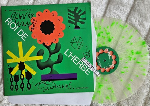 Aerial_Salad-Roi_De_Lherbe-VINYL-FLAC-2025-AUDiOPHiLE.jpg