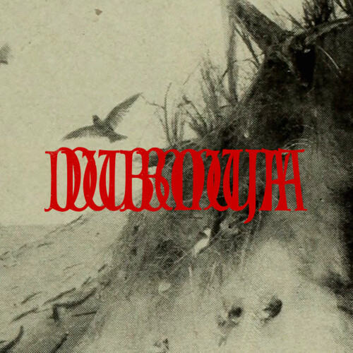 Demuja-Dubmuja_002-24BIT-WEB-FLAC-2026-PTC.jpg