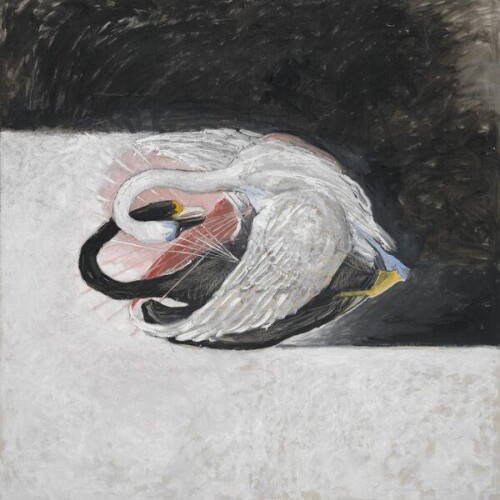 Aidan_Baker-Songs_of_Waking_and_Weather-24BIT-WEB-FLAC-2026-ENRiCH.jpg