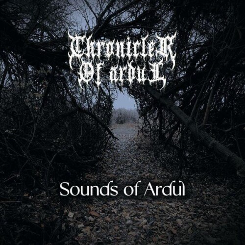 Chronicler_of_Ardul-Sounds_of_Ardul_Official_Soundtrack-OST-24BIT-WEB-FLAC-2026-ENRiCH.jpg