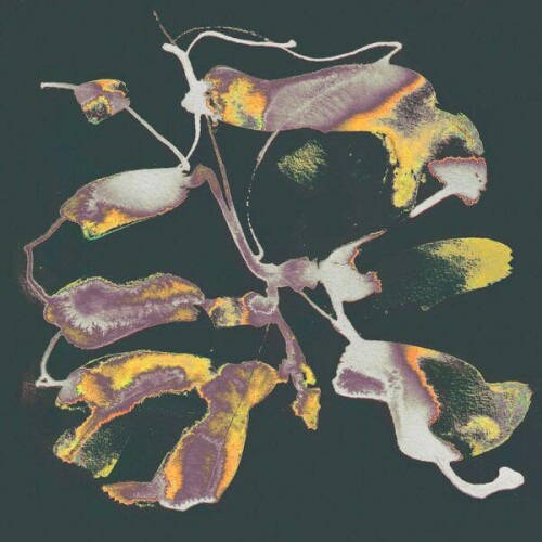 Emily_Jeanne-Versions_Vol._1-QYN003-24BIT-WEB-FLAC-2026-ENRiCH.jpg