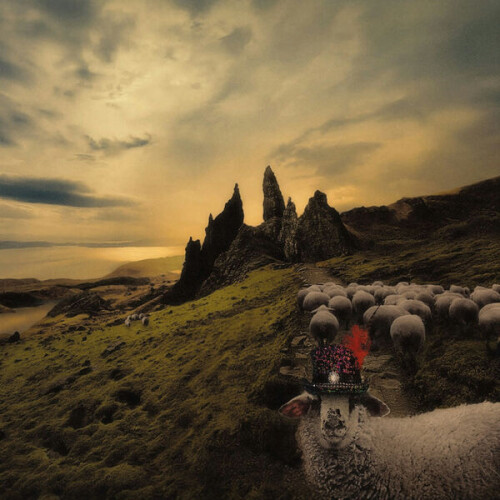 Franck_Carducci-Sheeple-24BIT-96KHZ-WEB-FLAC-2026-OBZEN.jpg