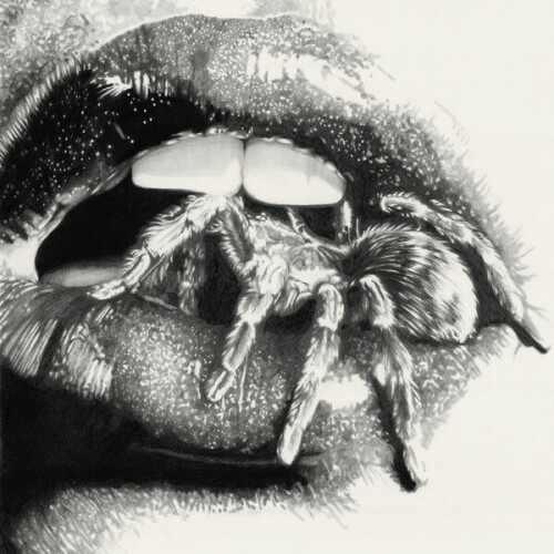 Masheena-Let_The_Spiders_In-24BIT-48KHZ-WEB-FLAC-2026-OBZEN.jpg