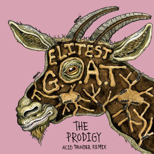 Sleaford_Mods_and_The_Prodigy_feat._Aldous_Harding-Elitest_G.O.A.T._The_Prodigy_Acid_Thunder_Mix-RT0615DS-SINGLE-24BIT-WEB-FLAC-2026-ENRiCH.jpg