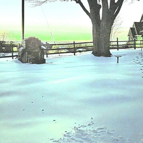 Ben_Wolfe-Winter_In_Hindsight-24BIT-WEB-FLAC-2026-ENRiCH.jpg