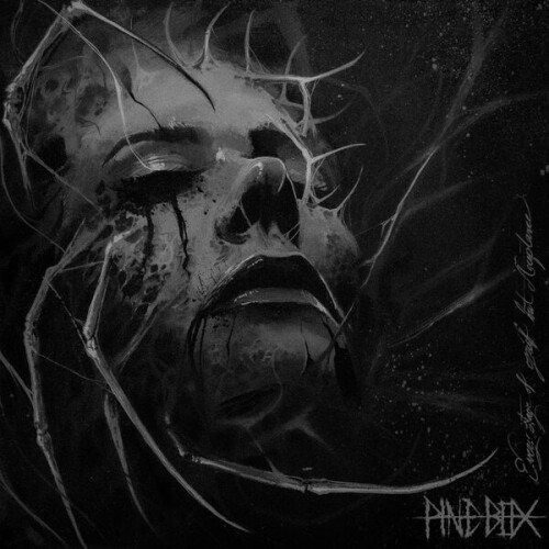 Pine_Box-Every_Stage_Of_Grief_But_Acceptance-24BIT-WEB-FLAC-2025-VEXED.jpg