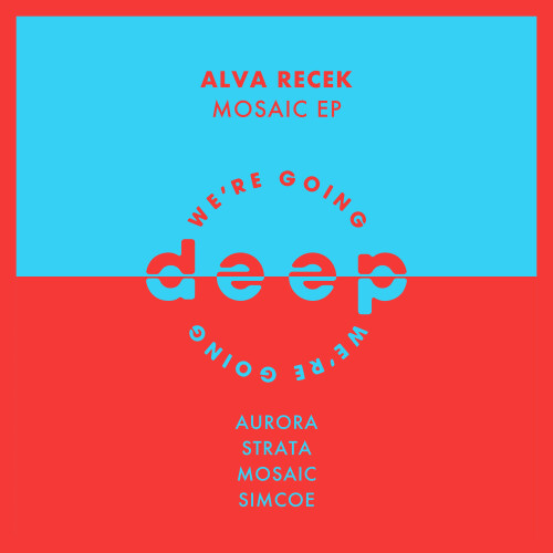 Alva_Recek-Mosaic_EP-WGDDIGI004-24BIT-WEB-FLAC-2026-PTC.jpg