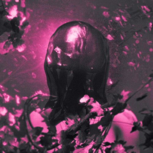 Pinknoise-FLESH_AND_BONE-EP-24BIT-WEB-FLAC-2026-ENTiTLED.jpg