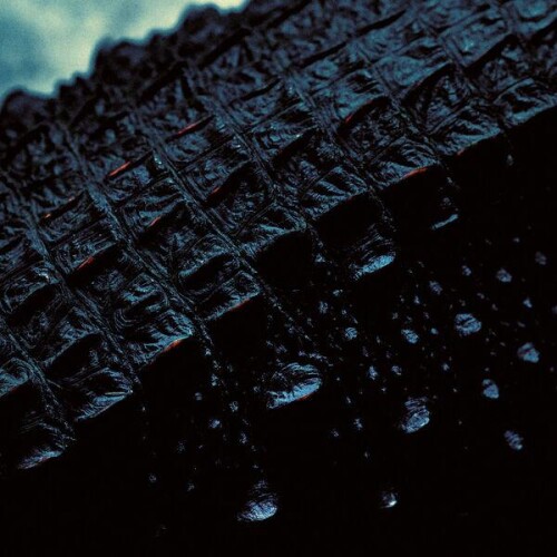 Wage_War-IT_CALLS_ME_BY_NAME-EP-24BIT-WEB-FLAC-2026-ENTiTLED.jpg