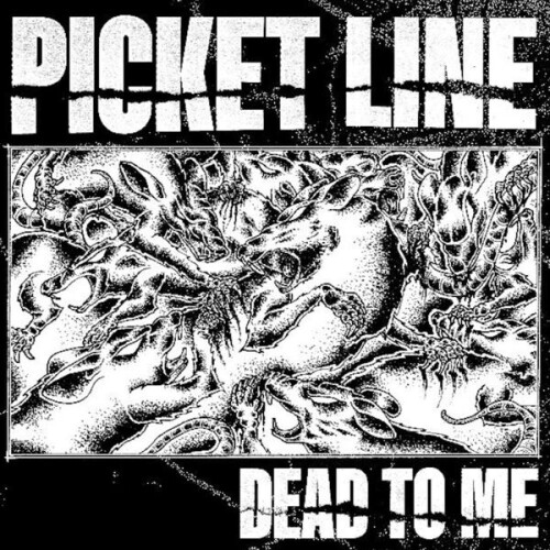 Picket_Line-Dead_To_Me-24BIT-WEB-FLAC-2026-VEXED.jpg