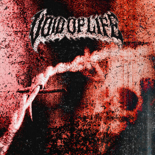 Void_Of_Life-Vol_1-24BIT-WEB-FLAC-2026-VEXED.jpg