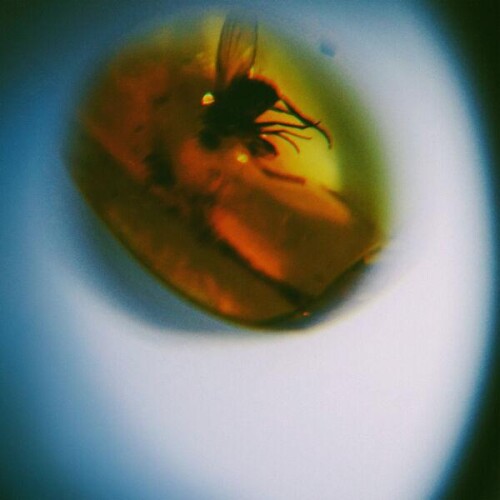 April__VISTA-Traditional_Noise-24BIT-WEB-FLAC-2026-ENRiCH.jpg