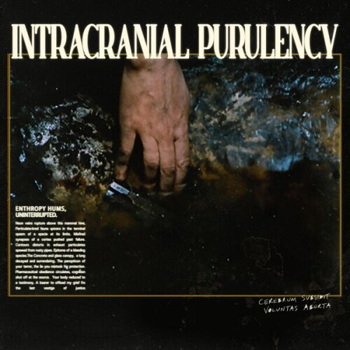 Intracranial_Purulency-Entropy_Hums_Uninterrupted.-Single-24BIT-WEB-FLAC-2026-VEXED.jpg