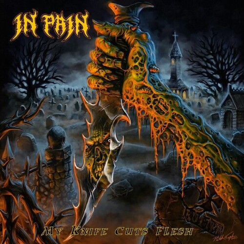 In_Pain-My_Knife_Cuts_Flesh-24BIT-WEB-FLAC-2026-VEXED.jpg