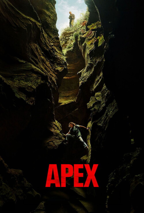 5TGSFX6dxYfM2balJrFoSVB42Nv316b7197febd5fe7.jpg