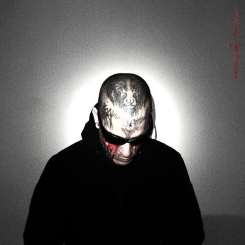 Iron_Sight-Catatonic_Daydreamer-ST029-24BIT-WEB-FLAC-2026-ENRiCH.jpg