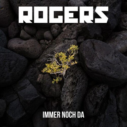 Rogers-Immer_Noch_Da-DE-24BIT-WEB-FLAC-2026-ENViED.jpg