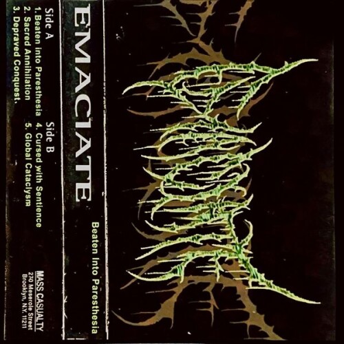 Emaciate-Beaten_Into_Paresthesia-24BIT-WEB-FLAC-2026-VEXED.jpg