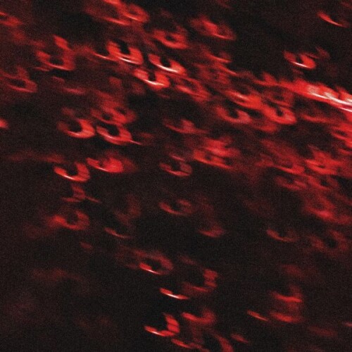 Threat_Letter-Microplastic_Lungs-24BIT-WEB-FLAC-2026-VEXED.jpg