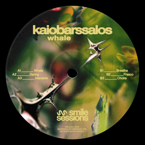 KaioBarssalos-Whale-SMILE013-24BIT-WEB-FLAC-2026-WAVED.jpg
