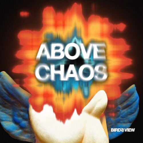 Birds_View-Above_Chaos-24BIT-WEB-FLAC-2026-ENRiCH.jpg