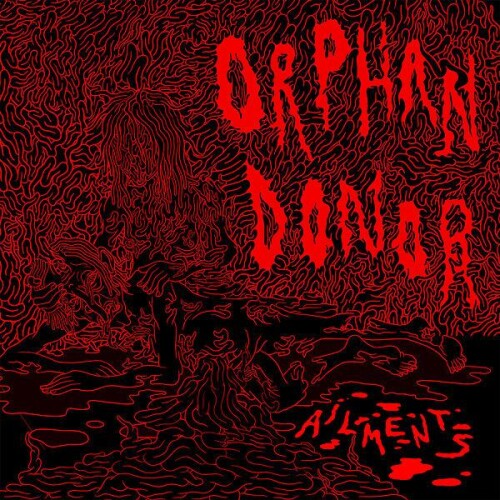 Orphan_Donor-Ailments-EP-24BIT-WEB-FLAC-2026-ENTiTLED.jpg