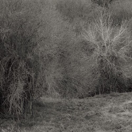 K._Leimer-Atrophies_for_Piano-POL152026-24BIT-WEB-FLAC-2026-ENRiCH.jpg