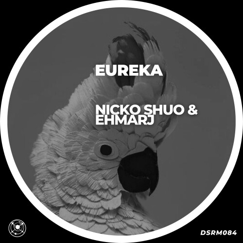 Nicko_Shuo_and_Ehmarj-Eureka-DSRM084-24BIT-WEB-FLAC-2026-PTC.jpg