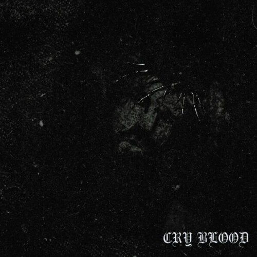 Cry_Blood-Demo_2026-24BIT-WEB-FLAC-2026-VEXED.jpg