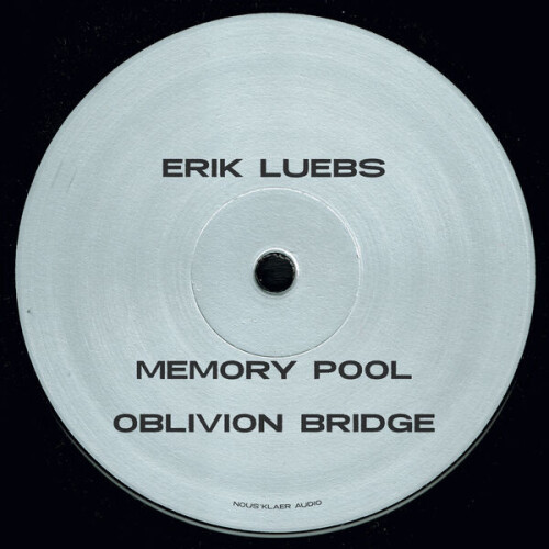 Erik_Luebs-Reversing_Time-NOUS046-24BIT-WEB-FLAC-2026-BABAS.jpg