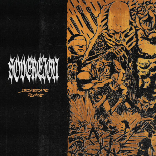 Sovereign-Desperate_Place-Single-24BIT-WEB-FLAC-2026-VEXED.jpg