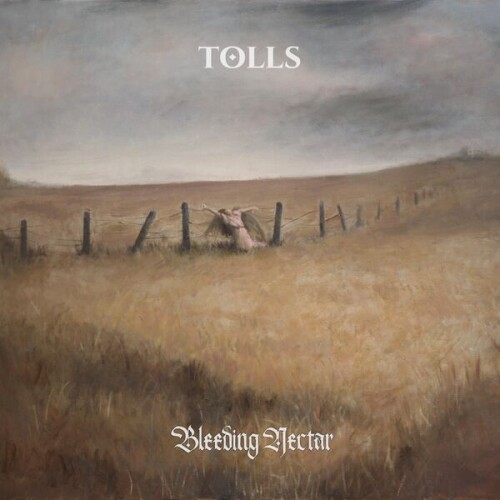 Tolls-Bleeding_Nectar-24BIT-WEB-FLAC-2026-VEXED.jpg