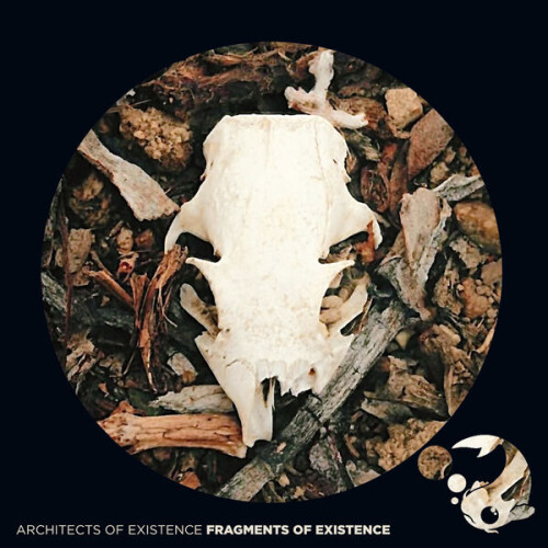 Architects_of_Existence-Fragments_Of_Existence-SEIZELXXX-24BIT-WEB-FLAC-2026-BABAS.jpg