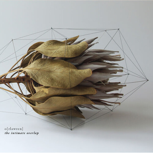 Orla_Wren-The_Intimate_Overlap-DR108-24BIT-WEB-FLAC-2025-BABAS.jpg