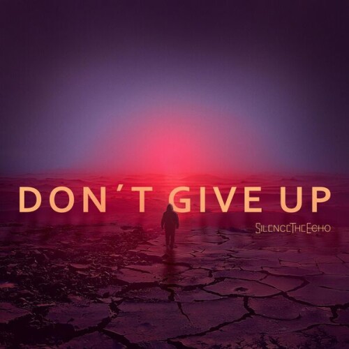 Silence_The_Echo-Dont_Give_Up_EP-24BIT-WEB-FLAC-2025-VEXED.jpg